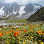 LargeImage-what-to-expect-on-beas-kund-trek-Bikat-Adventures